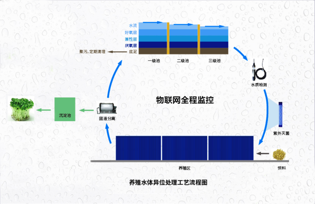 香港免费资料全年大全